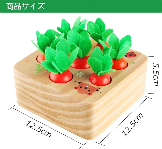 サイズを示すイメージ