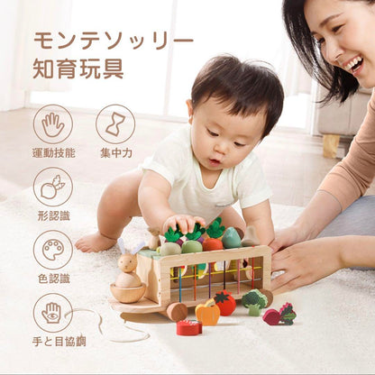 ピースをきれいに並べた俯瞰（形・サイズの違いが分かる）